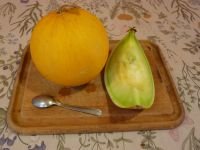 Meloen Winterse gouden bol